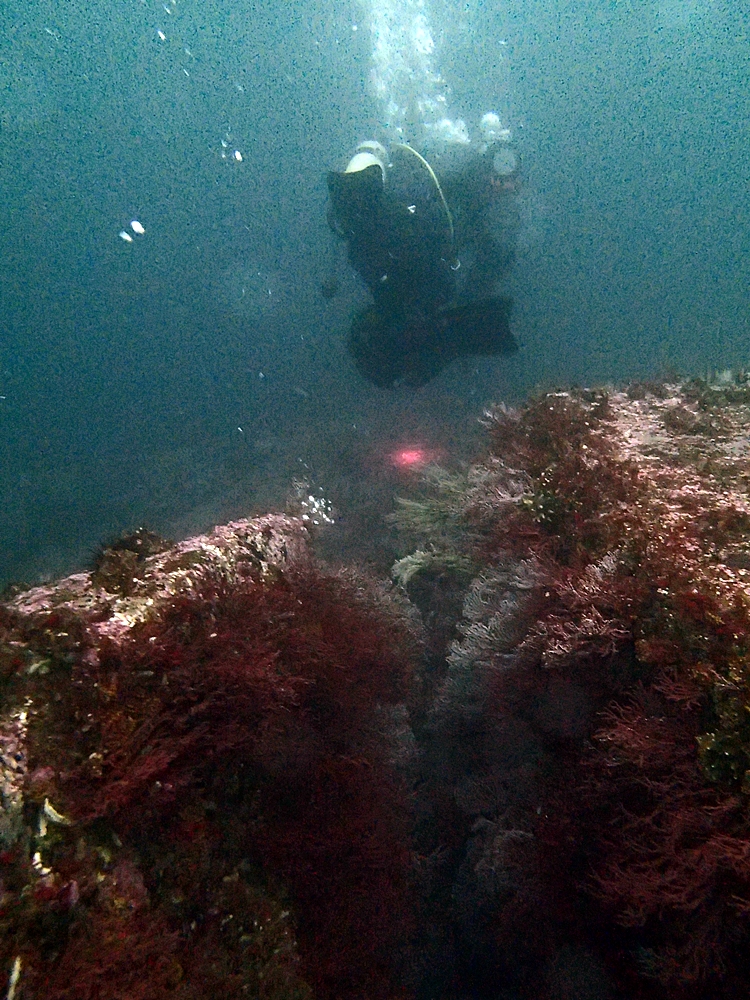 Fun Diving - 강원도 고성 청간정 리조트 (http://cafe.naver.com/gooddive) - 신규 포인트