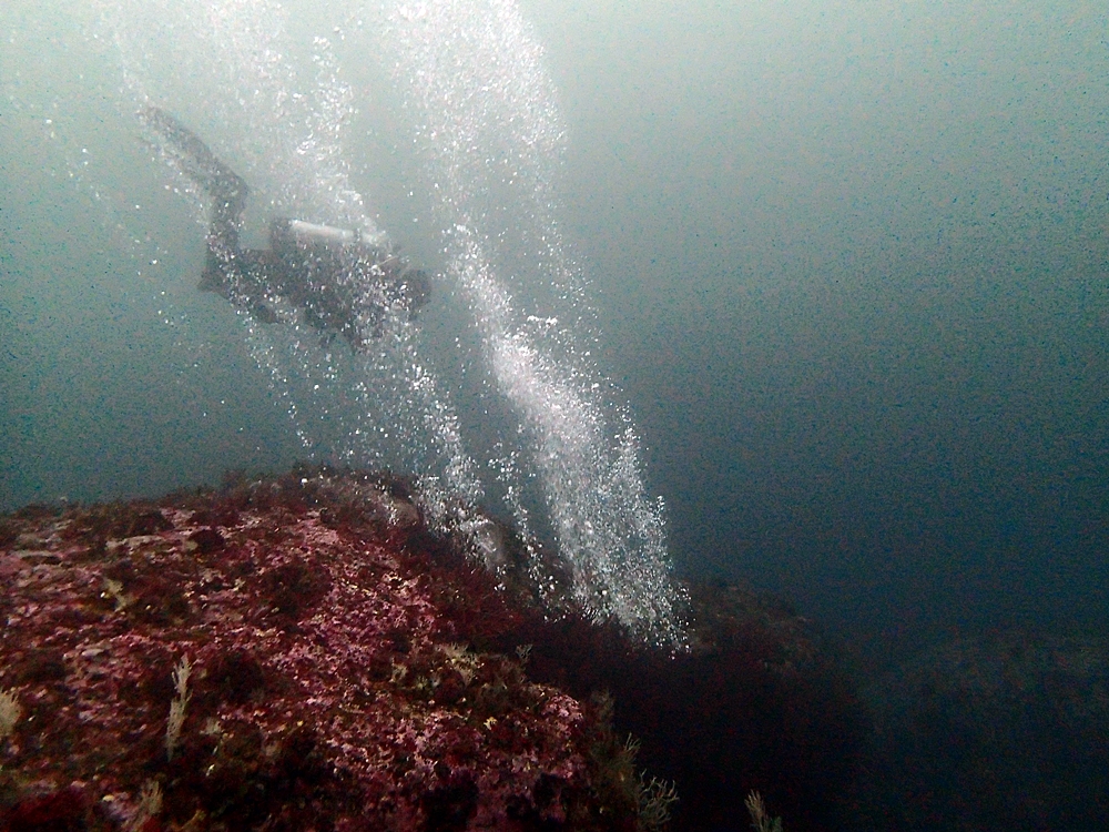 Fun Diving - 강원도 고성 청간정 리조트 (http://cafe.naver.com/gooddive) - 신규 포인트 
