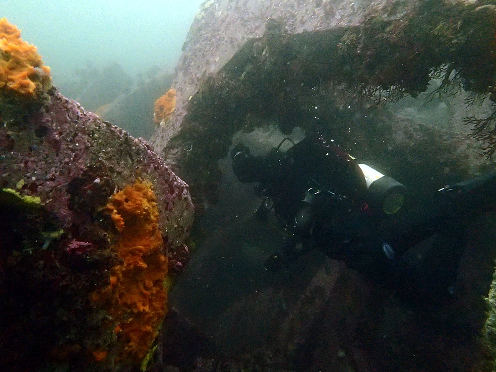 Fun Diving - 강원도 고성 청간정 리조트 (http://cafe.naver.com/gooddive) - 인공어초