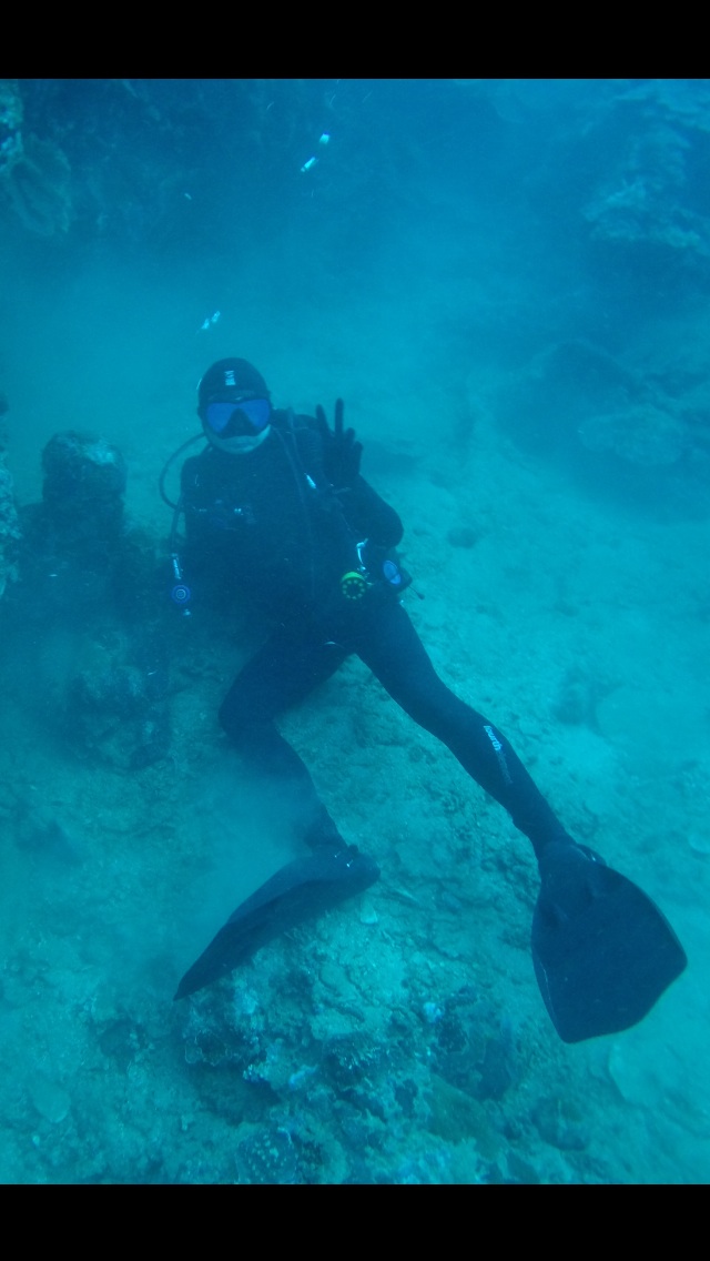 필리핀 아닐라오 / dive7000 resort - Vistamar