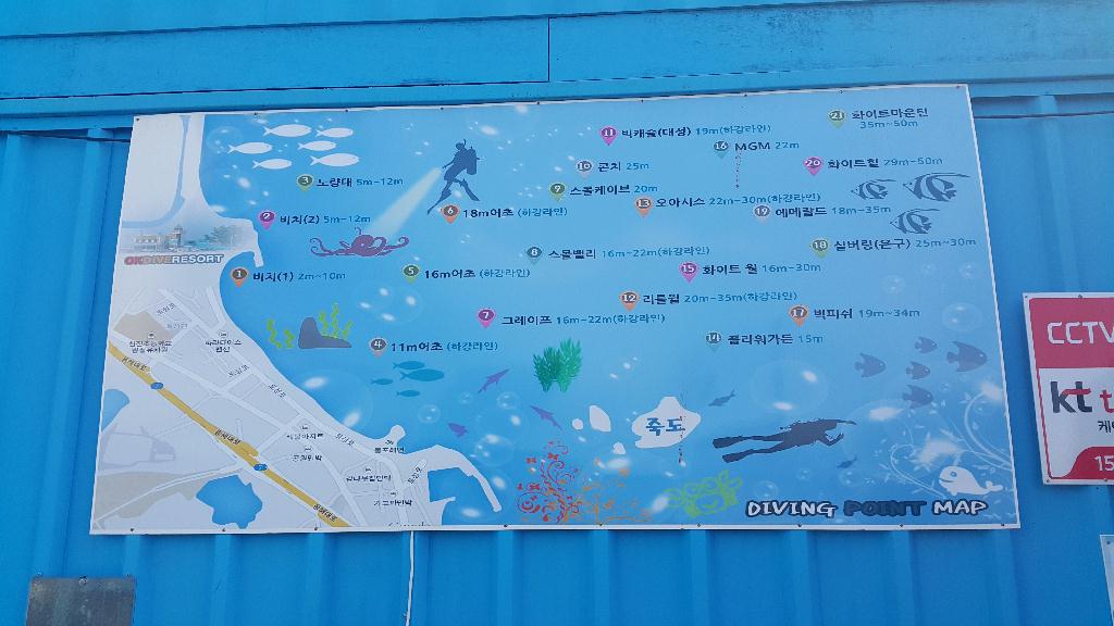 개해제 - 고성OK다이브 - 비치