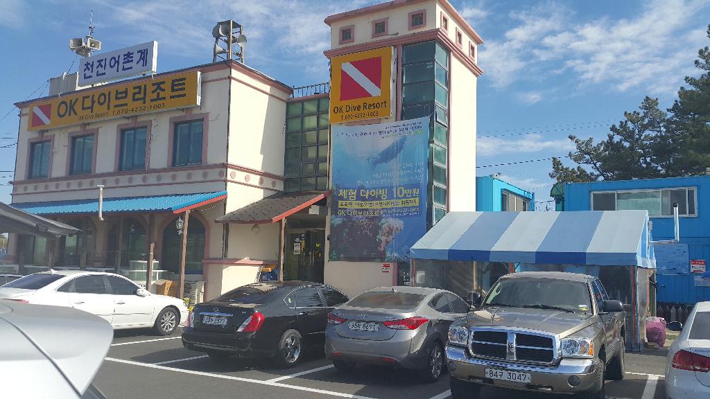 개해제를 위해 찾은곳 - 고성OK다이브