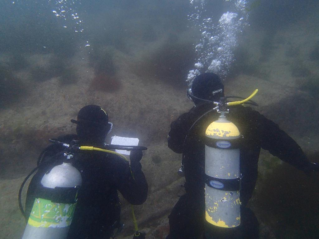 dm 트레이닝 - LF 문암 - 명파대