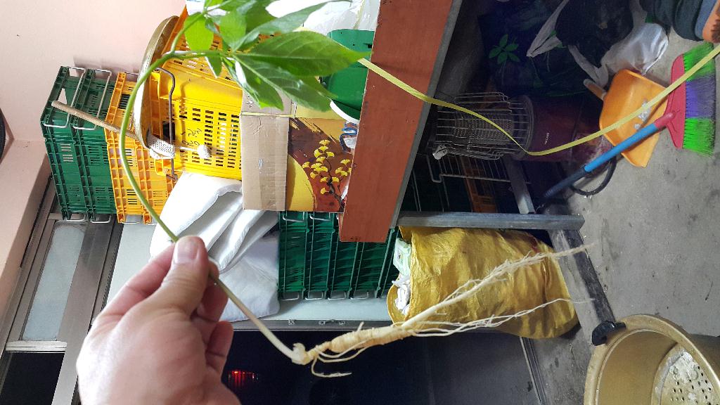 죽전다이브 - 15미터 암반짬