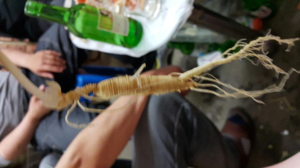 죽전다이브 - 15미터 암반짬