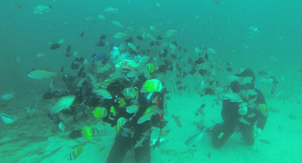 펀다이빙 - 사방비치 - Wreck Point