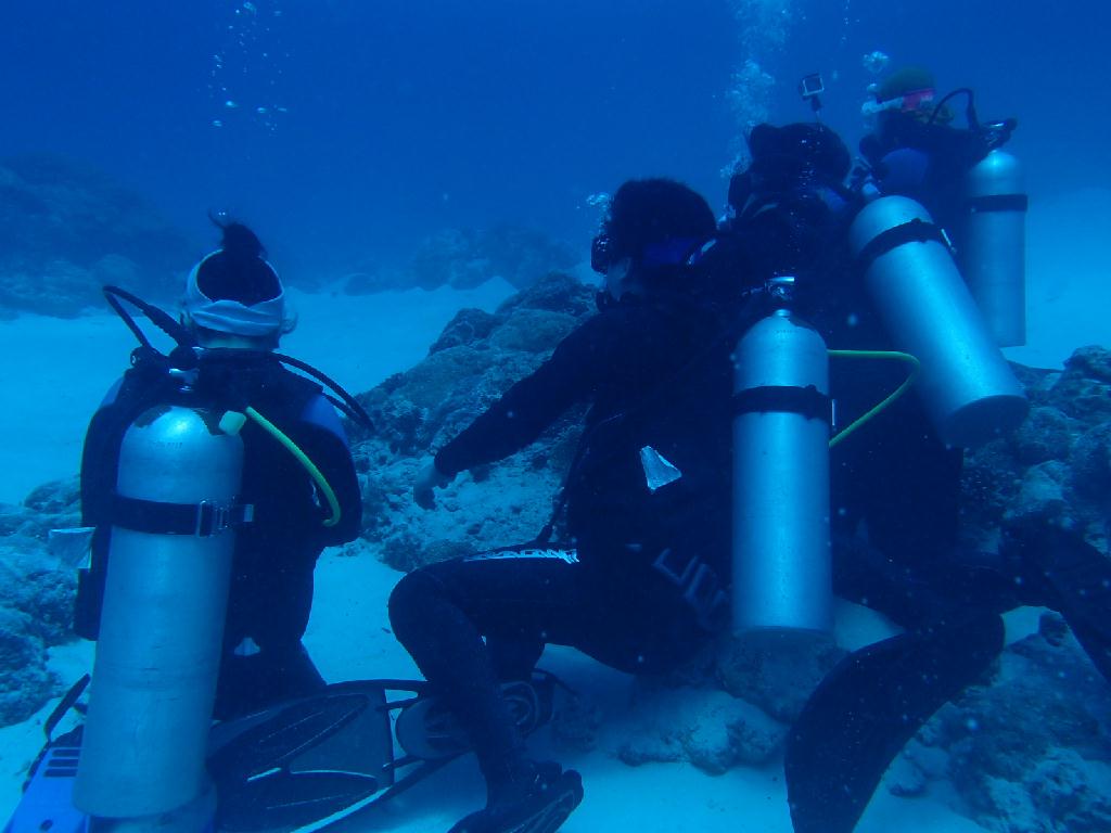 만타보기 - 팔라우ppdc - 저먼채널