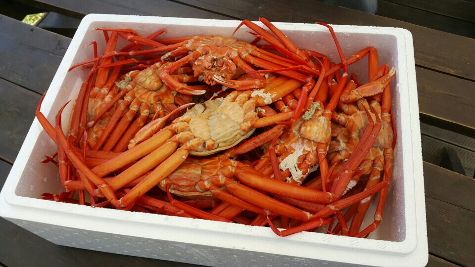 죽변리조트 - 15미터 항로길포인트