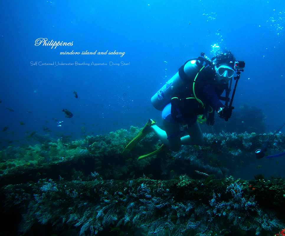 JM다이브 첫해외 투어 - 필리핀 사방 - sabang wreck