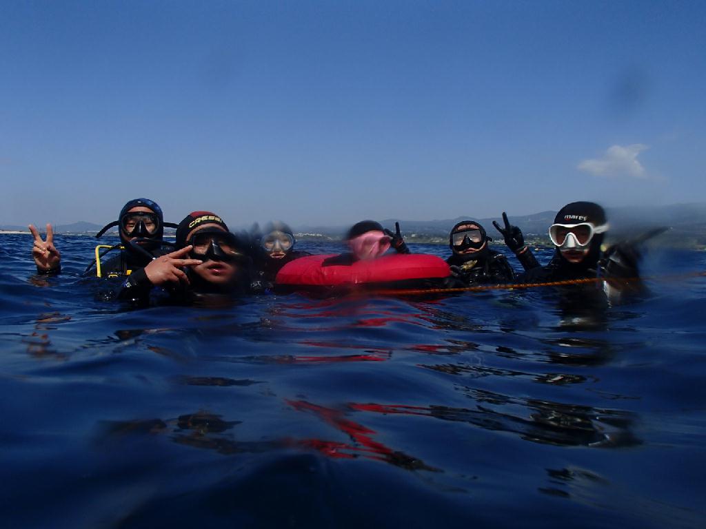연산호 - 제주씨플러스 - 범섬 새끼섬