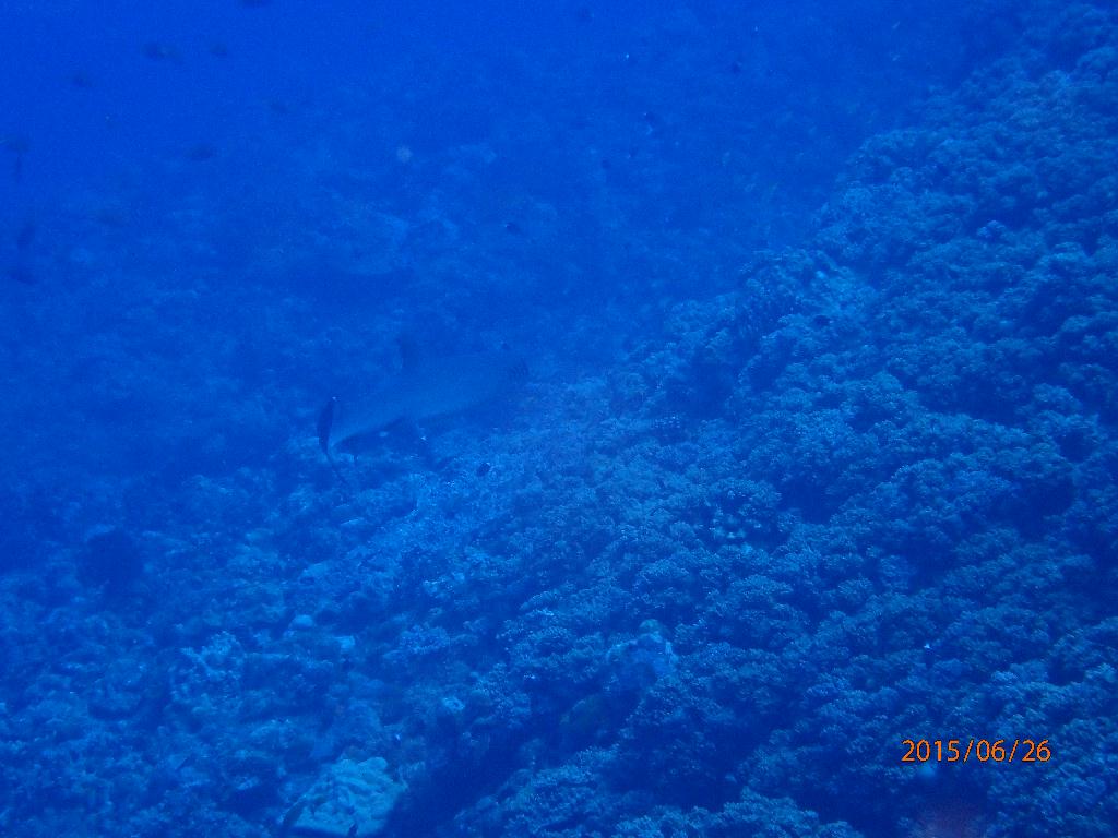 Kerama Island - Kuroshima TwinRock