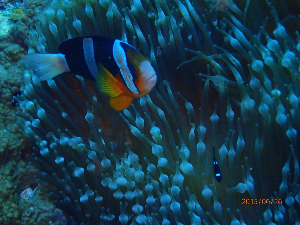 Kerama Island - Kuroshima TwinRock