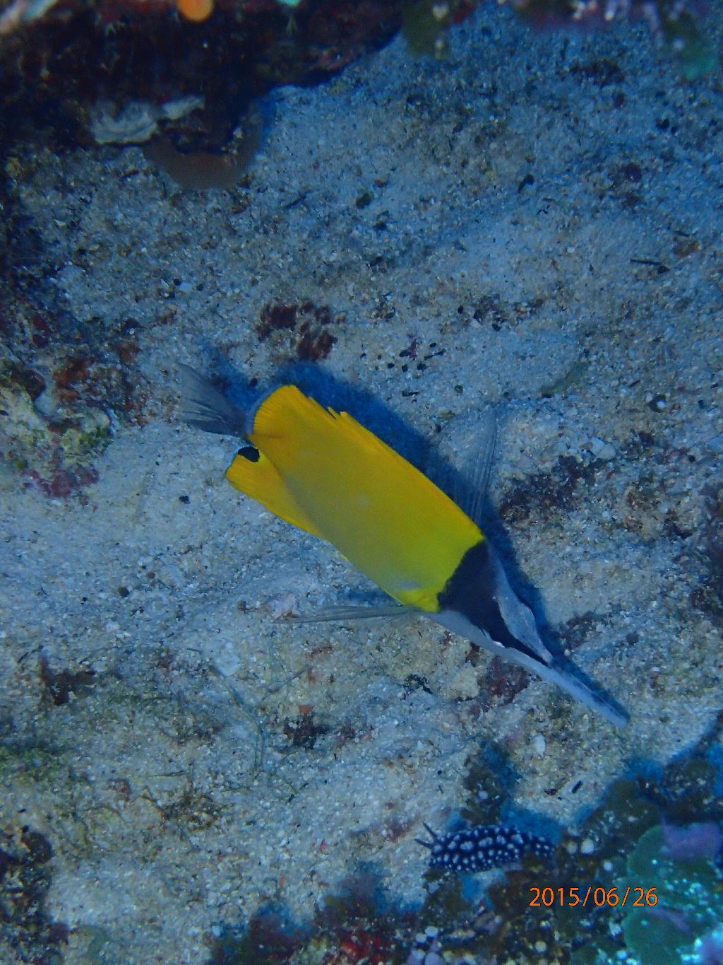 Kerama Island - Nanabanzaki