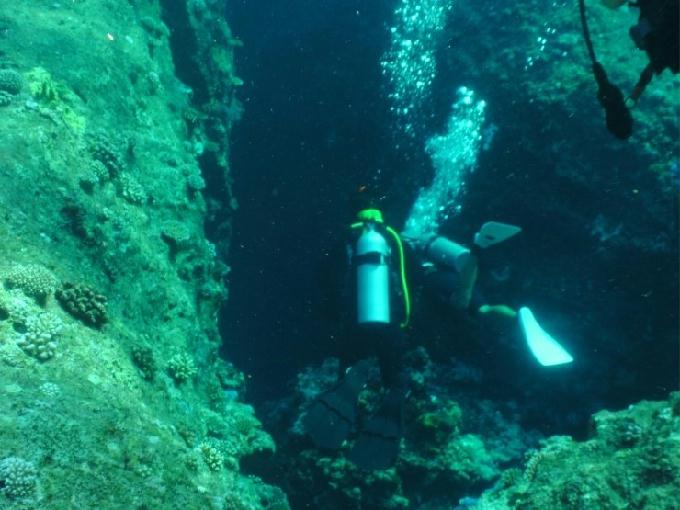 愉快的潜水活动 - 塞班 Dive Y2K - FLEMING