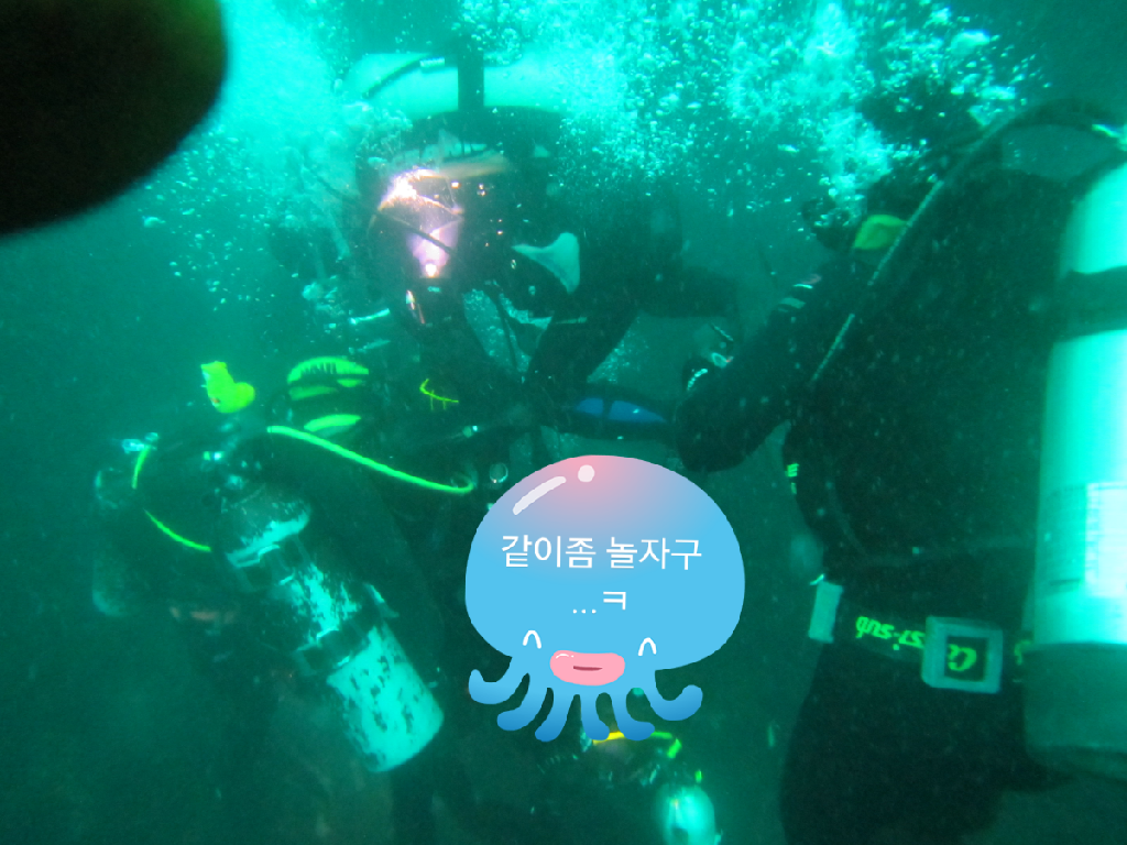 오케이다이빙리조트 - 오아시스옆 묻지마다쳐