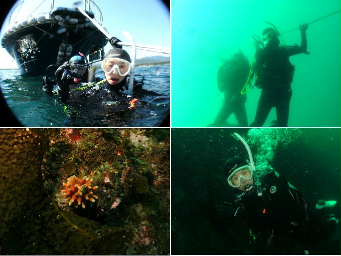 Fun Diving - Yangyang Kangwondo, South Korea - Yung Prow