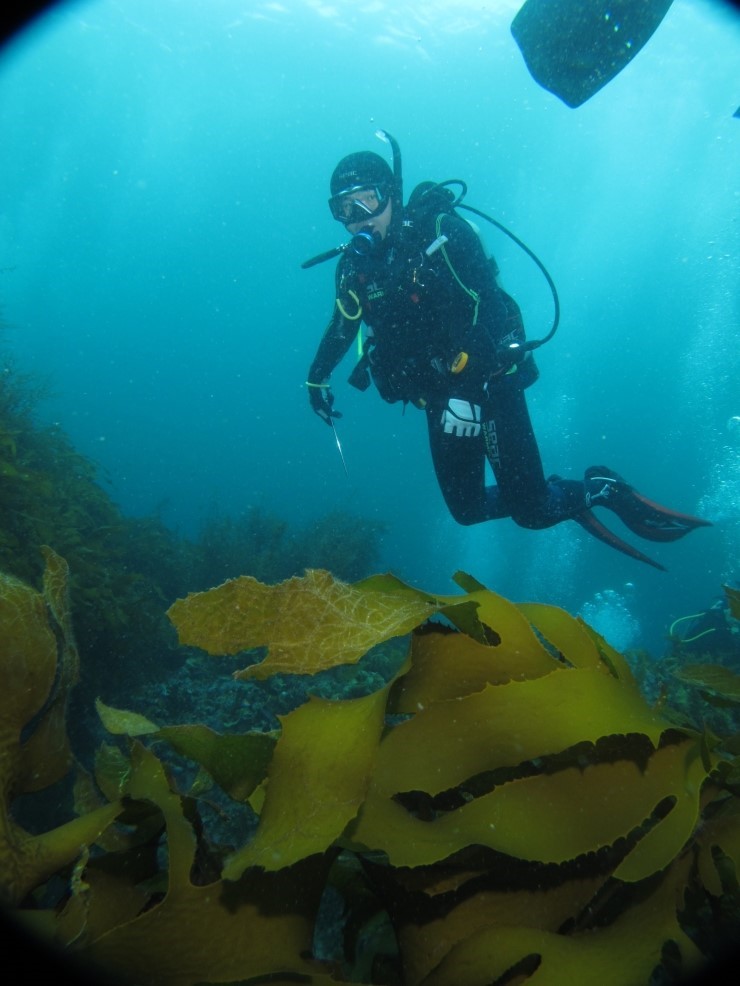 Fun Diving - Jeju island, South Korea - Moon Island
