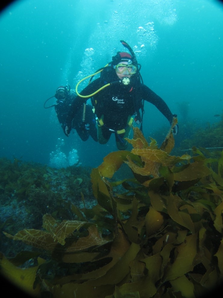 Fun Diving - Jeju island, South Korea - Moon Island