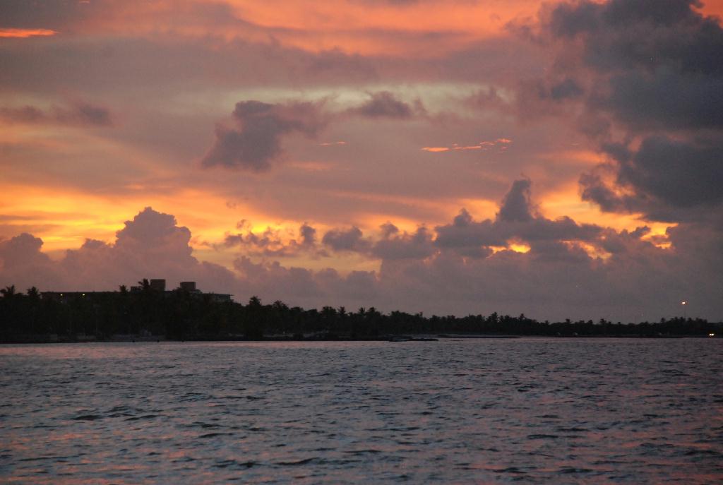Wreckage diving - Key Largo ., florida - Wreck ship us divine