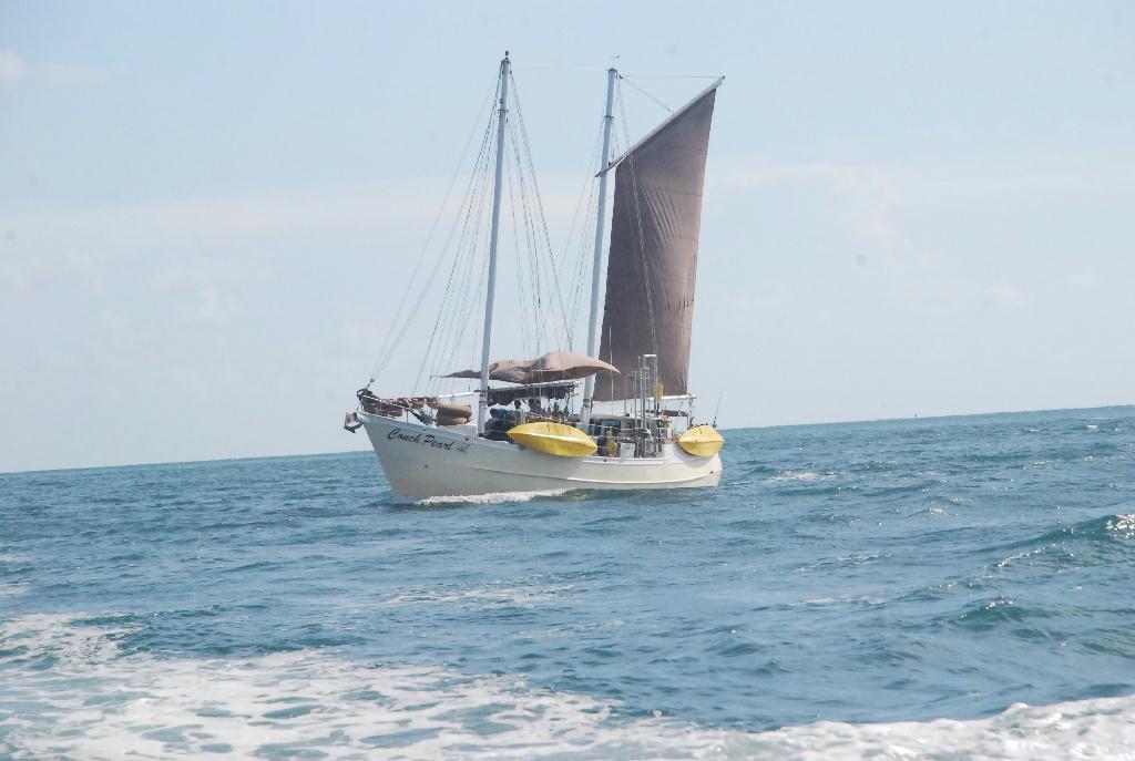 Wreckage diving - Key Largo ., florida - Wreck ship us divine