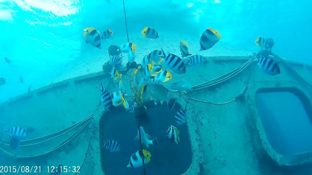 어벤스교육 - GUAM - Fish eye marine park
