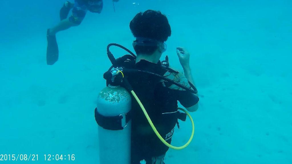 어벤스교육 - GUAM - Fish eye marine park