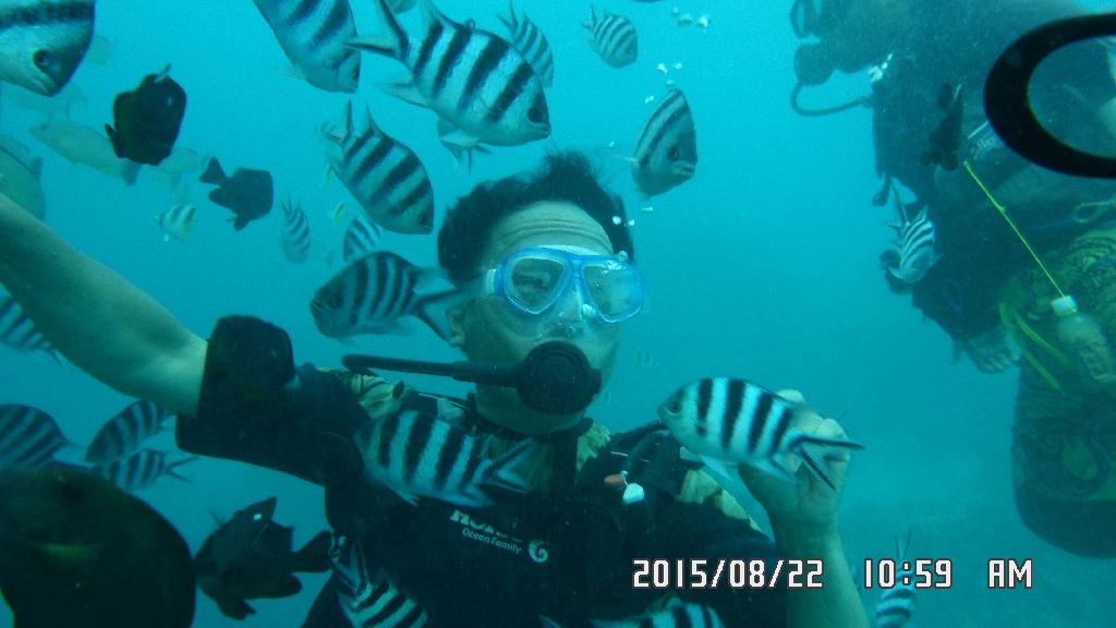 fun diving - GUAM - Fish eye marine park