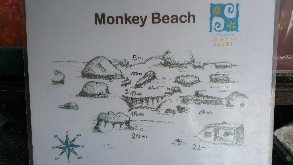 사방비치 아우라리조트 - Monkey Beach