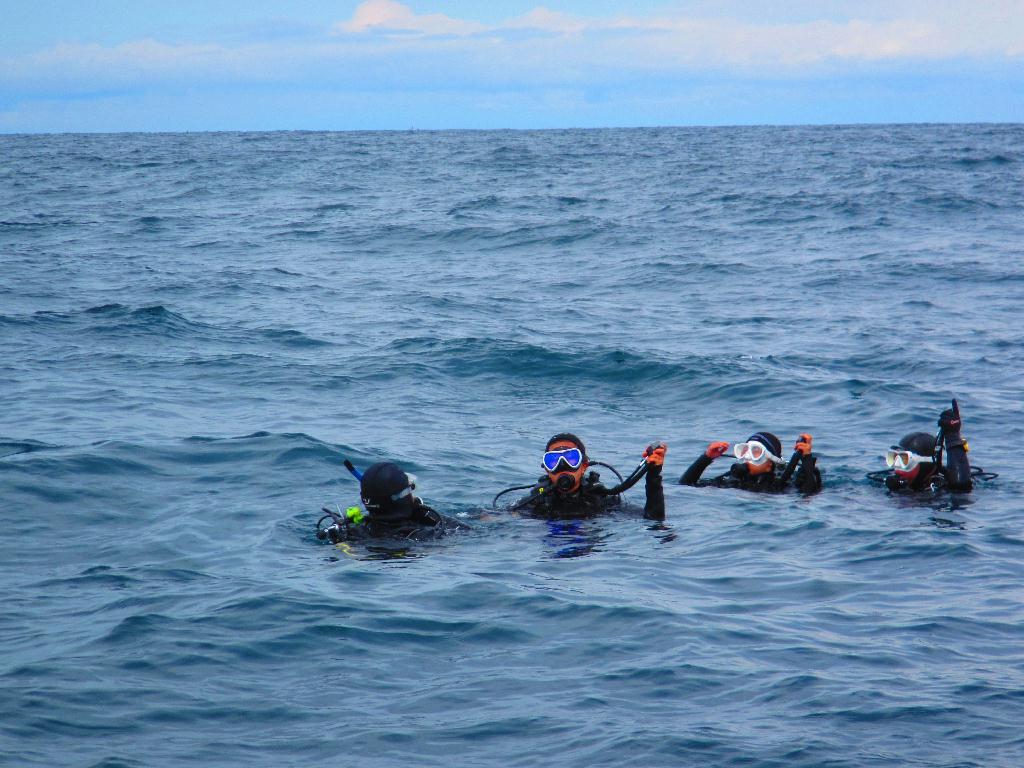 FUN DIVING  - 속초 에코다이버스  - 천학정 구선봉
