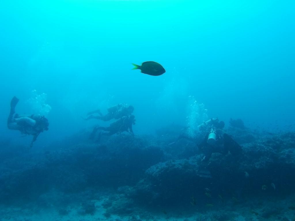 사방비치 아우라리조트 - Canyon