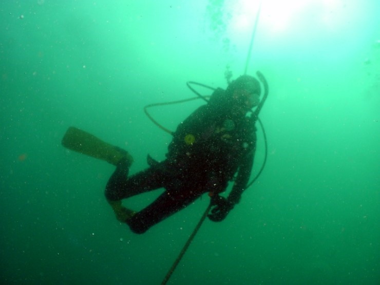 펀다이빙 - 강원도 양양 38마린리조트 - 모자반