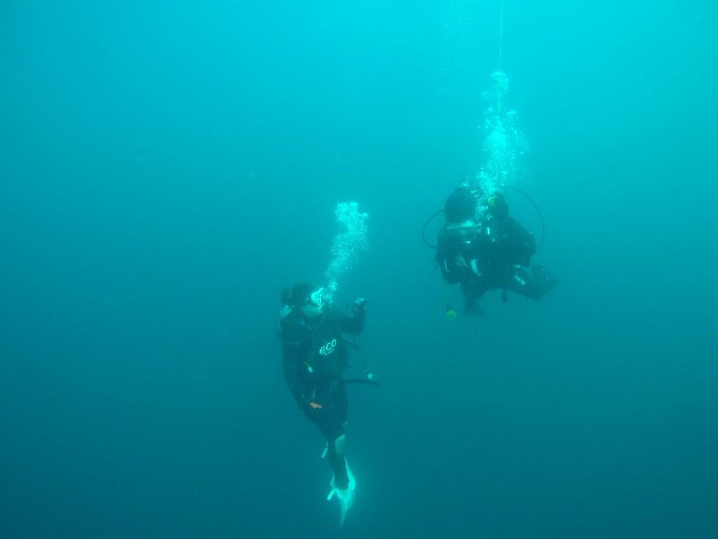 FUN DIVING  - 속초 에코다이버스  - 문암 마이산