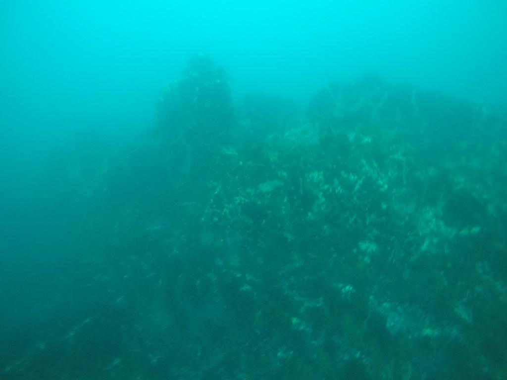 FUN DIVING  - 속초 에코다이버스  - 문암 마이산