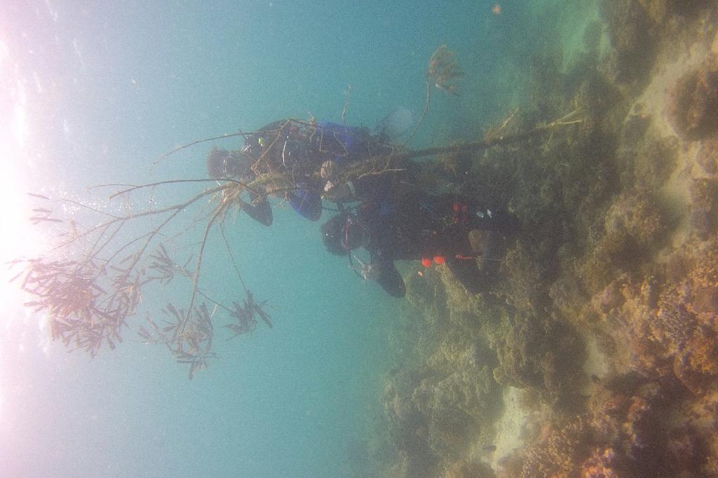 릴로안 킹덤리조트 - 마지막다이빙