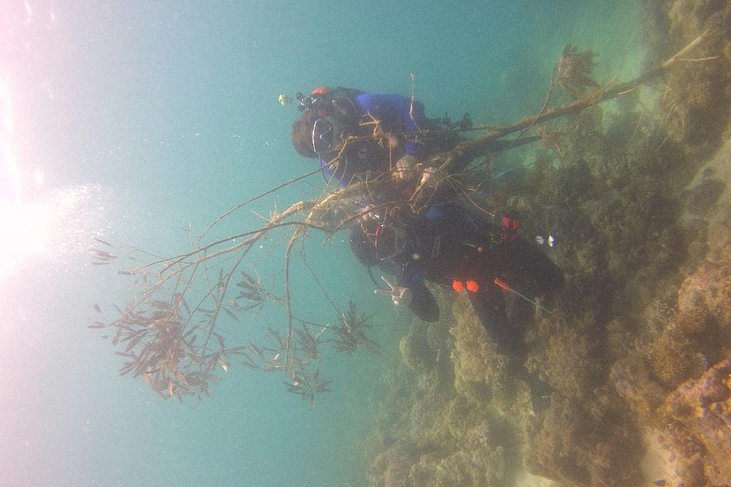 릴로안 킹덤리조트 - 마지막다이빙
