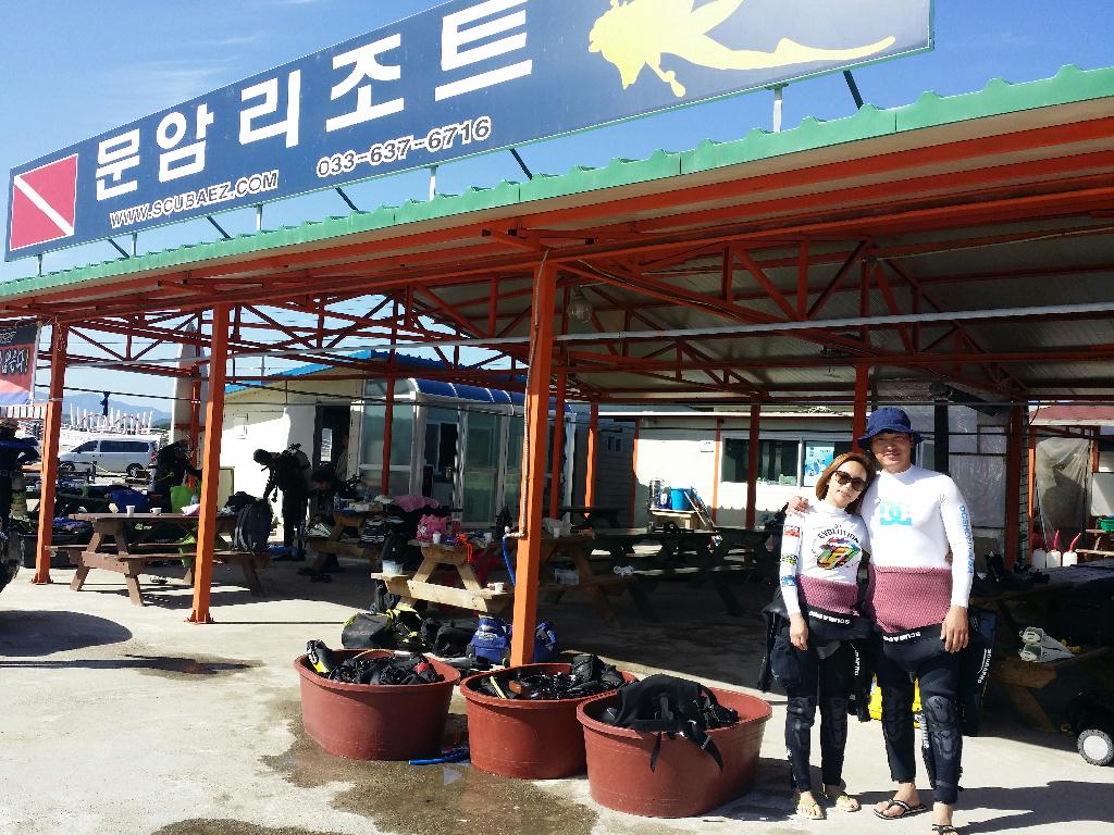 FUN DIVING  - 속초 에코다이버스  - 문암 금강산 