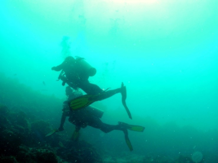 펀다이빙 - 필리핀 세부 씨홀스다이브 - 올랑고 바스코랄(BAS CORAL)