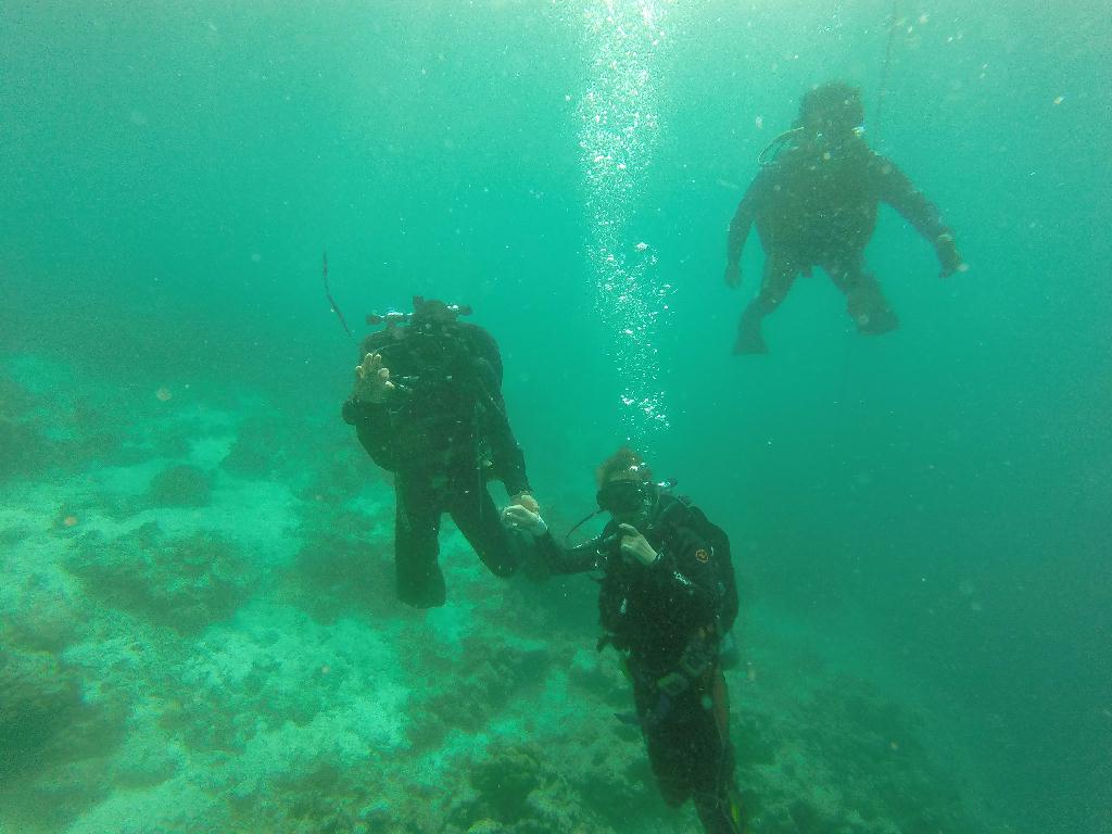 아닐라오 - 손블럴러