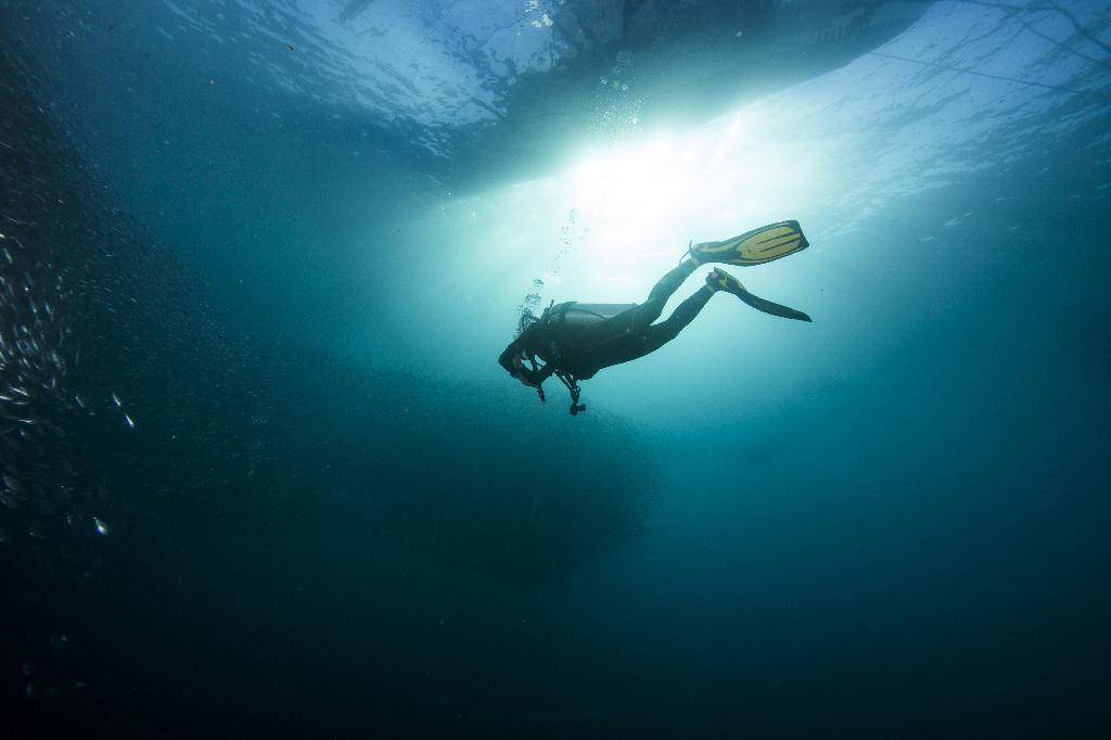 moalboal - House Reef