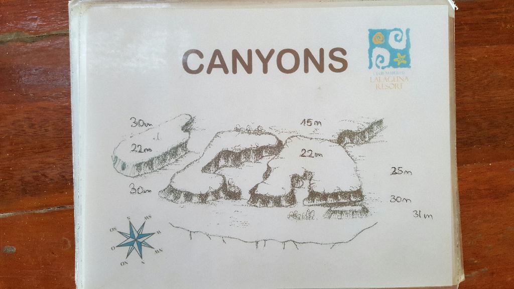 큰눈 레빗피쉬 - 필리핀 아우라리조트 - The Canyons
