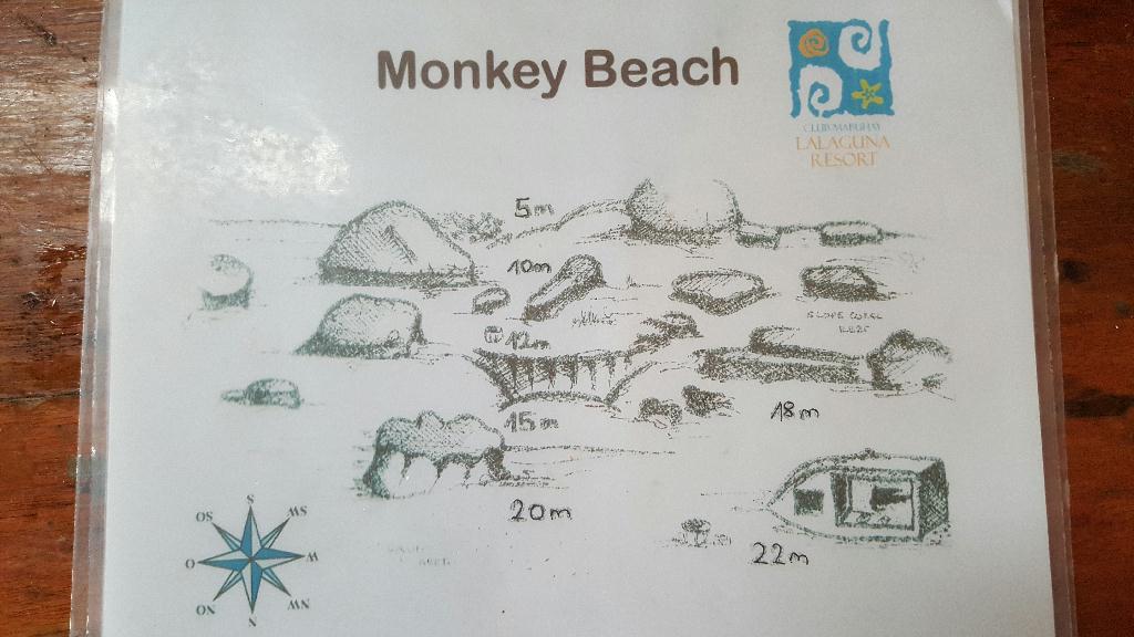 사방은 원래 이래요? - 필리핀 아우라리조트 - Monkey Beach
