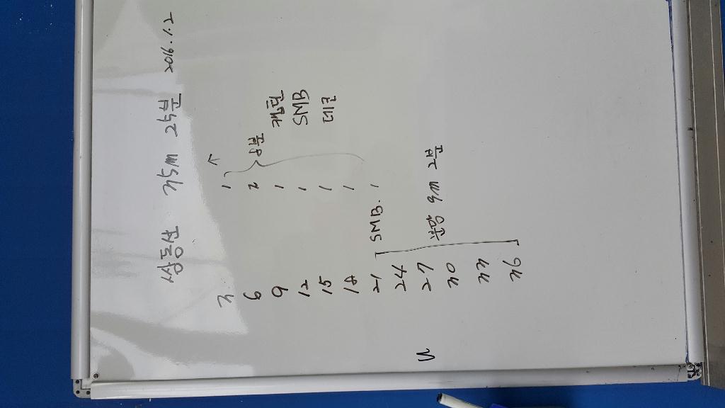 펀다이빙 - 왕돌리조트 - 쌍동선