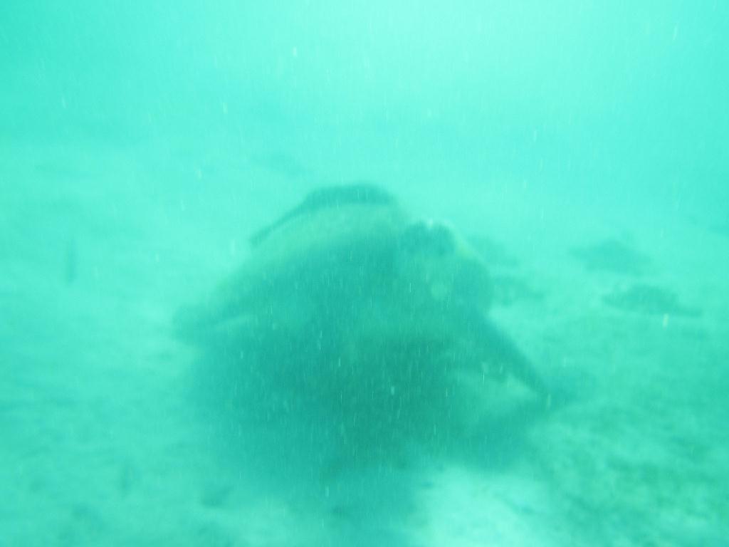 필리핀 사방 아우라리조트 - Sabang Bay