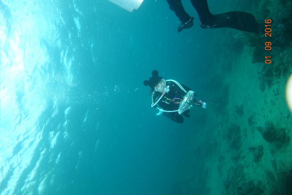 아닐라오 킹콩다이브리조트 - 쏨브레라