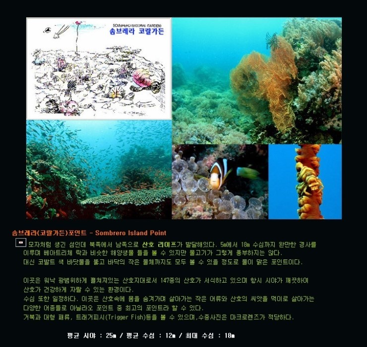 아닐라오 킹콩다이브리조트 - 쏨브레라