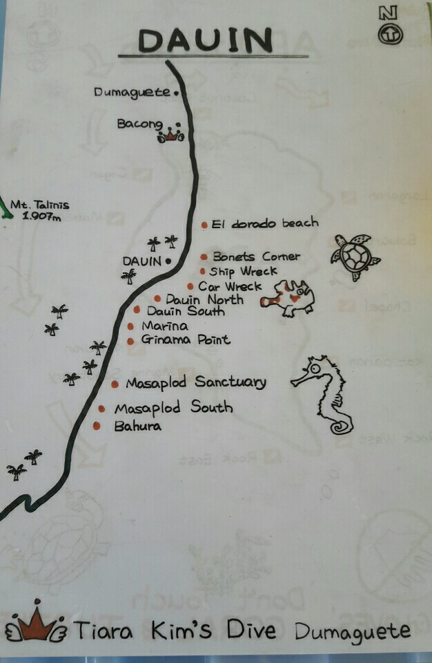 #FUN, #Coral, #Fish awareness, #Muck - *DUMAGUETE, PHL - Dauin North@Dauin Beach