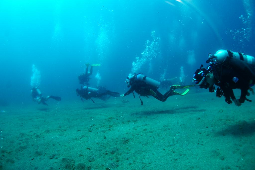 #FUN, #Coral, #Fish awareness  - *DUMAGUETE, PHL - Largahan@APO Island