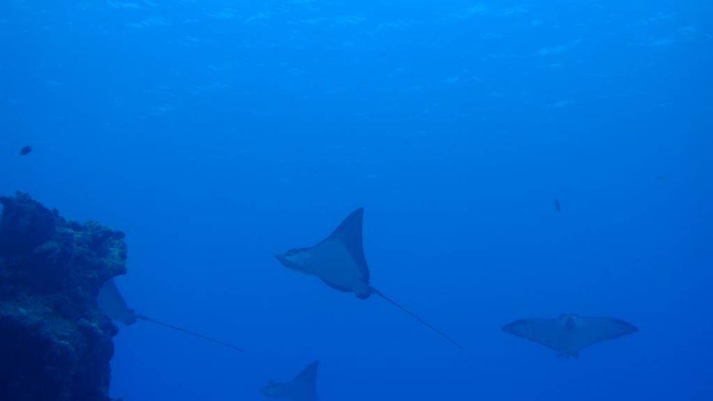 동호회 사이판 여행 - 사이판 - Pipeline