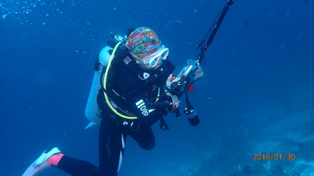 斷層潛水觀光 - Bohol-panglao - Balicasag