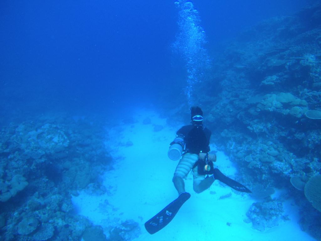 팔라우 다이빙 1일차 - Palau - Ulong Channel